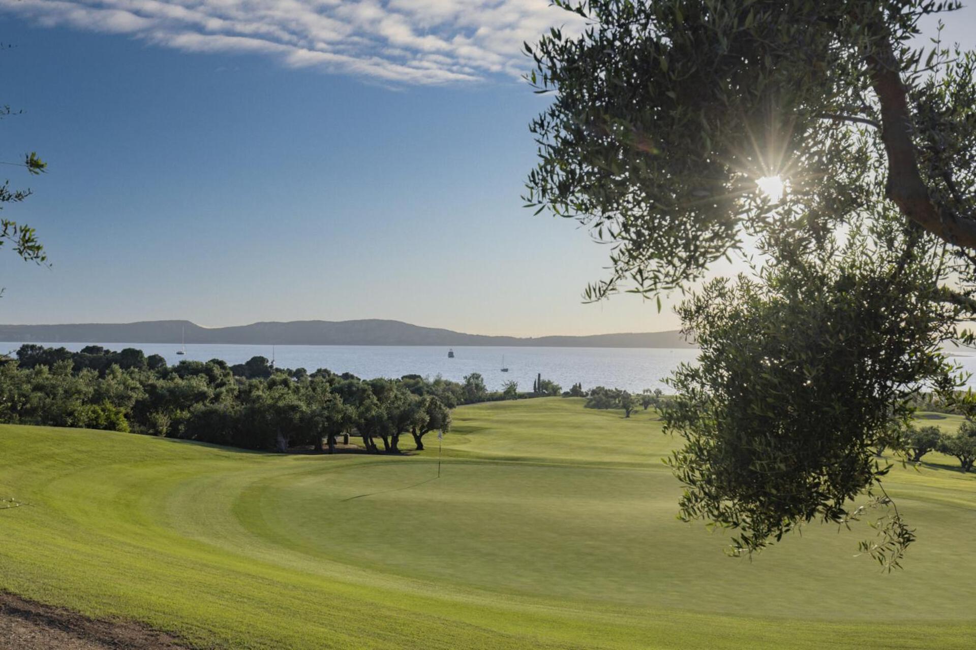 Art Navarino Gialova